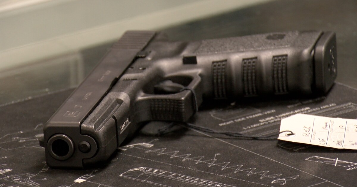 Have you purchased a gun in the last year?