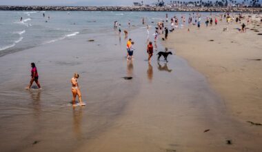 Sewage discharge causes county to close dog area in Ocean Beach