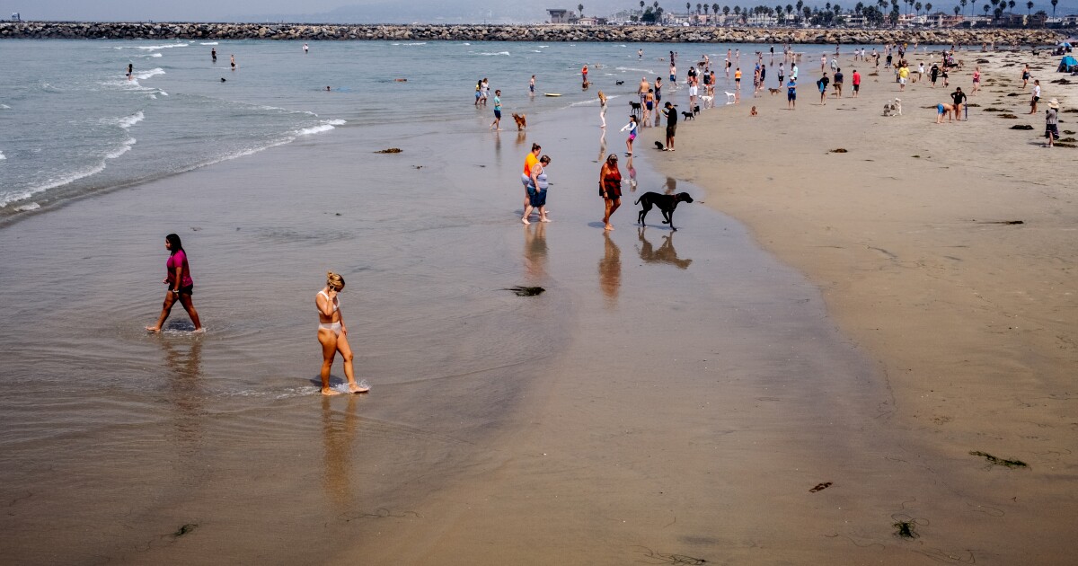 Sewage discharge causes county to close dog area in Ocean Beach