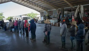 California cut healthcare for undocumented immigrants. One lawmaker wants it back