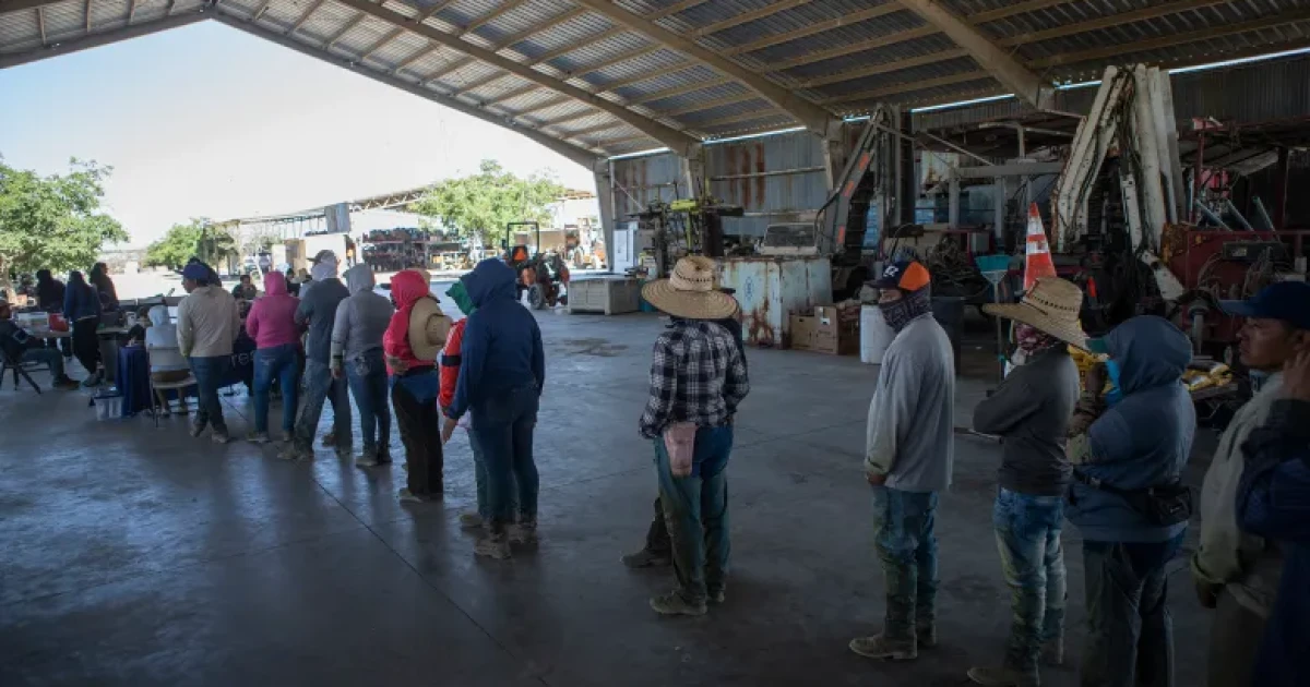 California cut healthcare for undocumented immigrants. One lawmaker wants it back