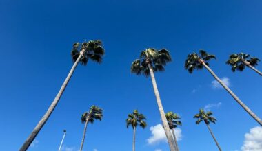 Santa ana winds are back