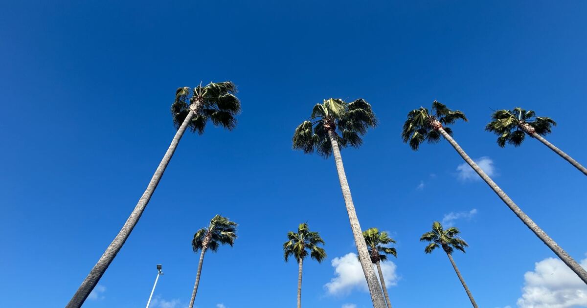 Santa ana winds are back