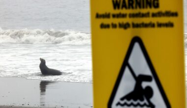 Headed to the beach this weekend to cool off? Choose wisely