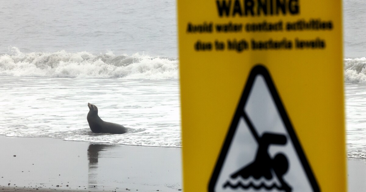 Headed to the beach this weekend to cool off? Choose wisely