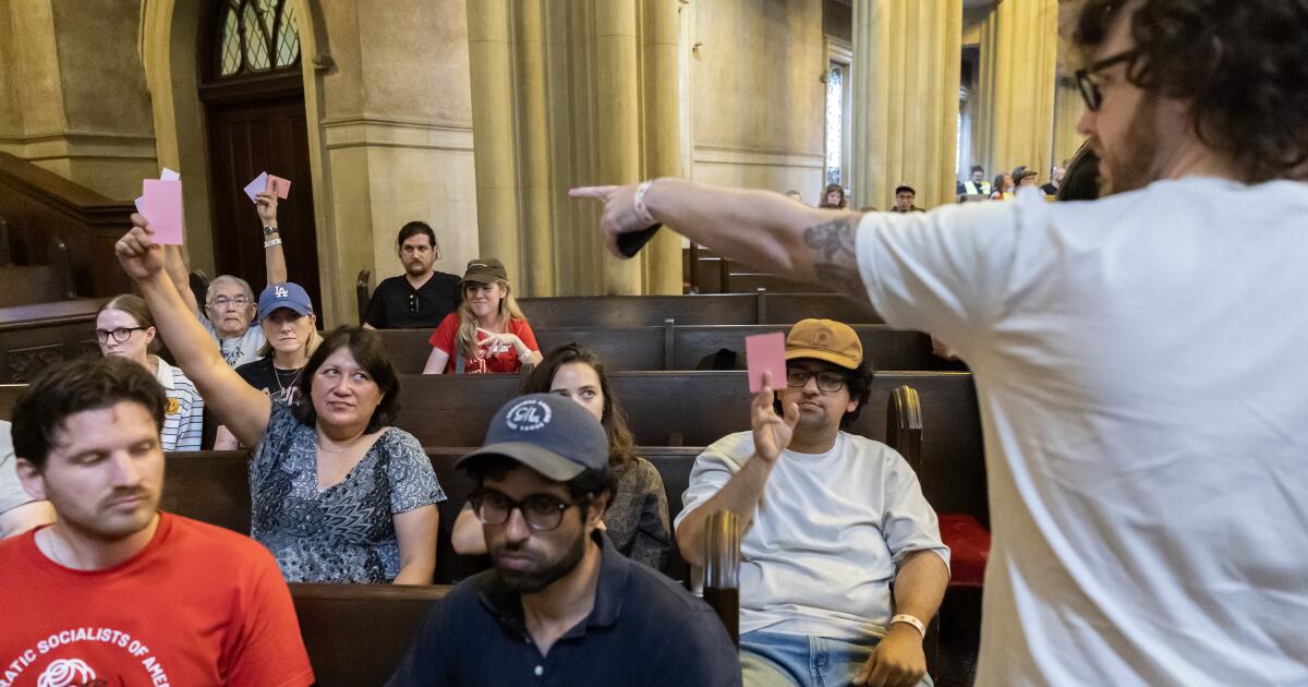 Democratic Socialists of America won't endorse in race for L.A. mayor