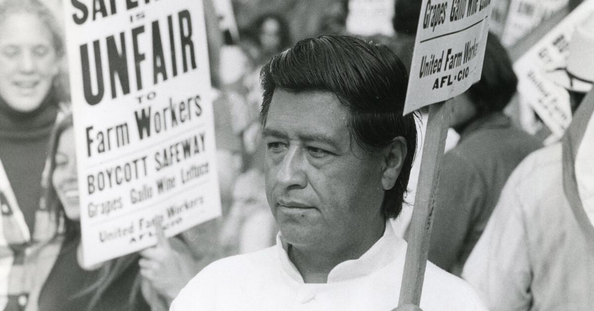 'Troubling' allegations against Cesar Chavez prompt UFW to cancel events