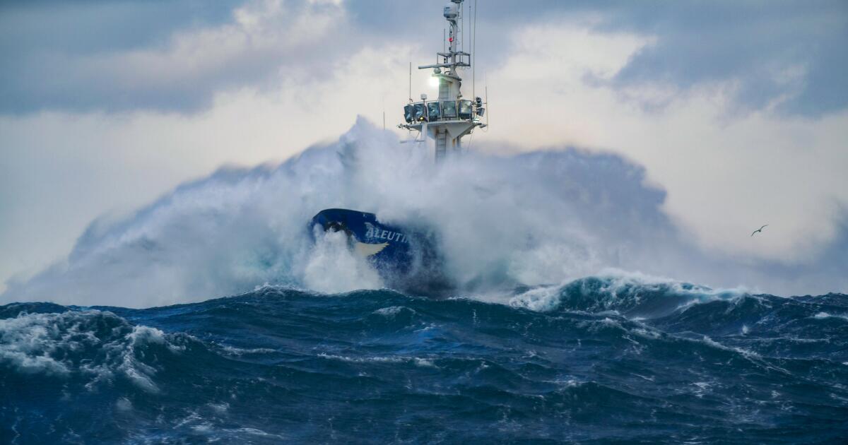 Todd Meadows dead: 'Deadliest Catch' cast member was 25