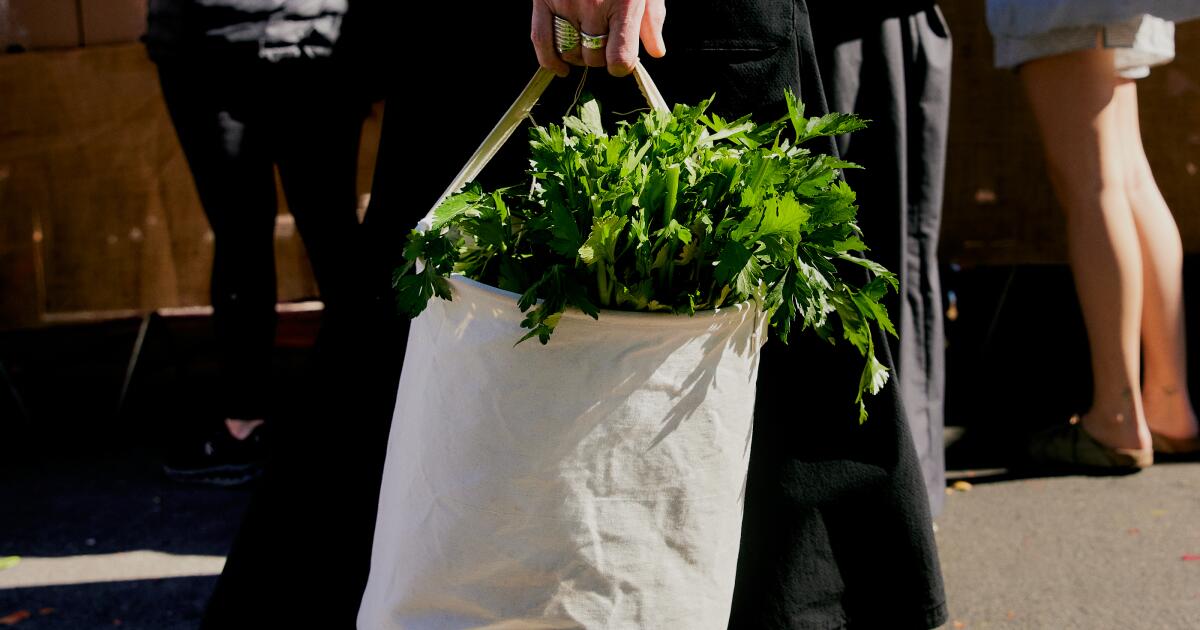 A street style photo essay of the Hollywood Farmers Market