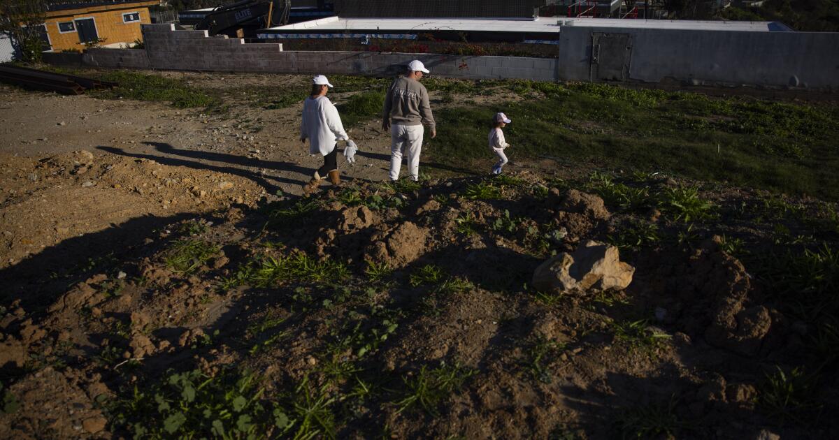 Deal allows State Farm to keep rate hike, without scrutiny over firestorm payouts