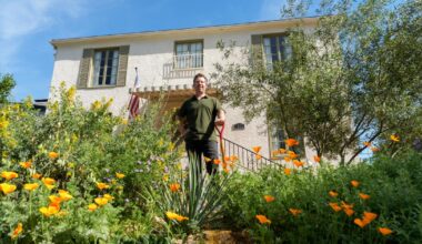 Glendale homeowner swapped his lawn for California native plants