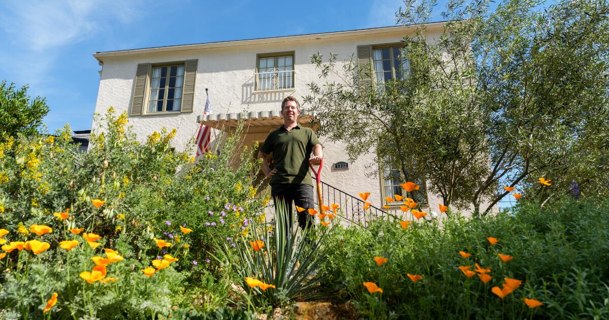 Glendale homeowner swapped his lawn for California native plants