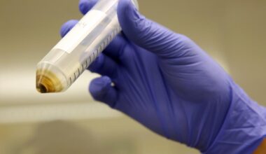 Nearly 40% of California produce contains PFAS pesticides, report finds