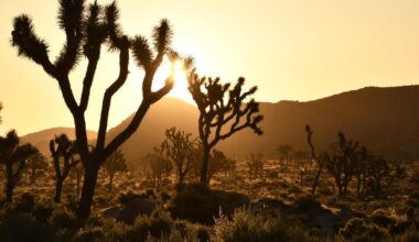 Daylight saving time returns — here's when to change your clocks