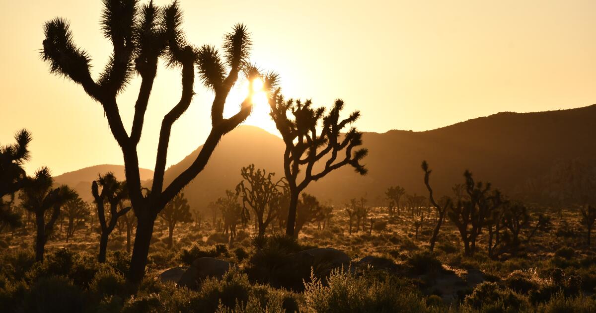Daylight saving time returns — here's when to change your clocks