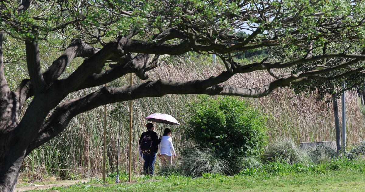 Major heat wave slams SoCal. Record-breaking temperatures expected across Los Angeles