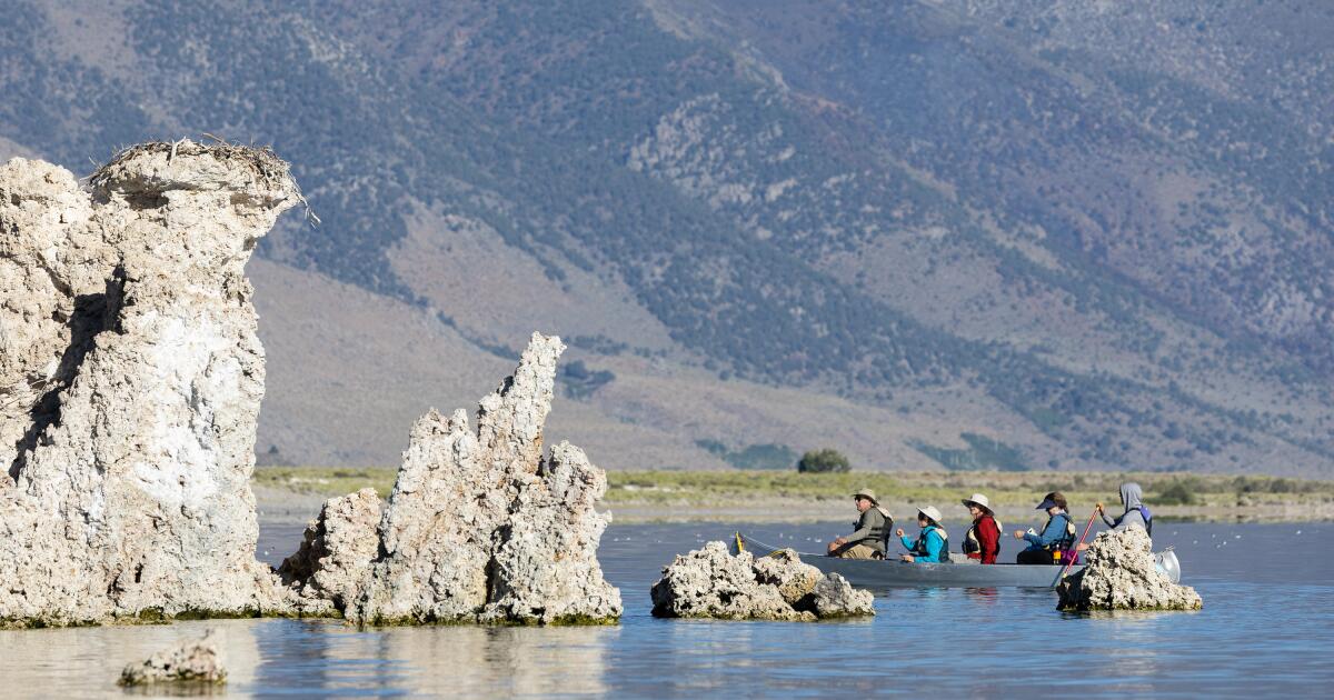 California water regulators reexamine why Mono Lake hasn't rebounded