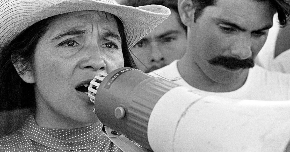 Commentary: The grief behind the cascade of online Dolores Huerta photos