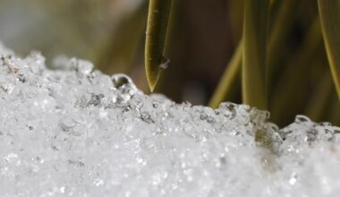 Extreme heat is rapidly melting California's snowpack