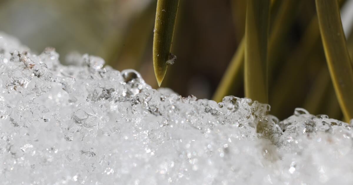 Extreme heat is rapidly melting California's snowpack