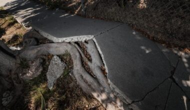 Letters to the Editor: L.A.’s broken sidewalks hurt people in wheelchairs the most
