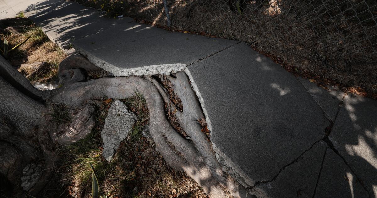 Letters to the Editor: L.A.’s broken sidewalks hurt people in wheelchairs the most