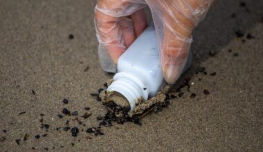 New report on L.A. post-fire beach contamination finds good news