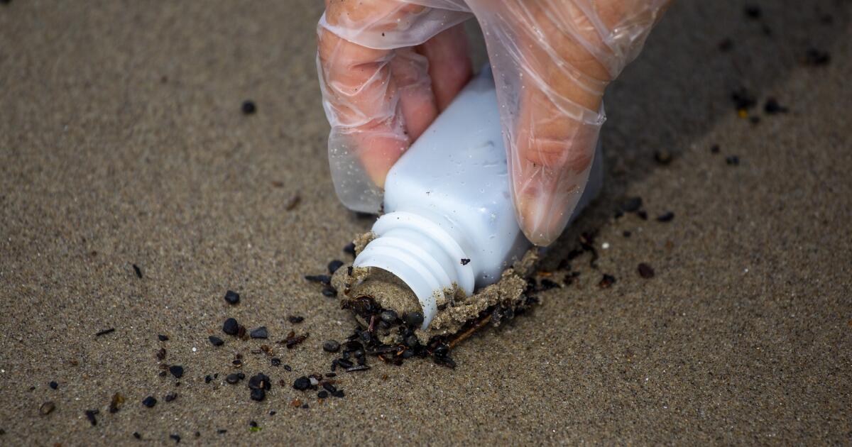 New report on L.A. post-fire beach contamination finds good news