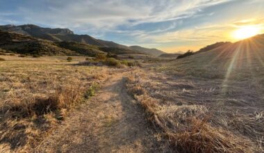 Ventura County teen rescued after rattlesnake bite