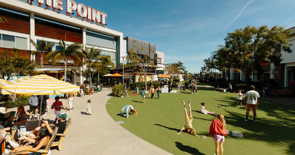 'Mall parks' on the rise in Los Angeles: Kids play while parents shop