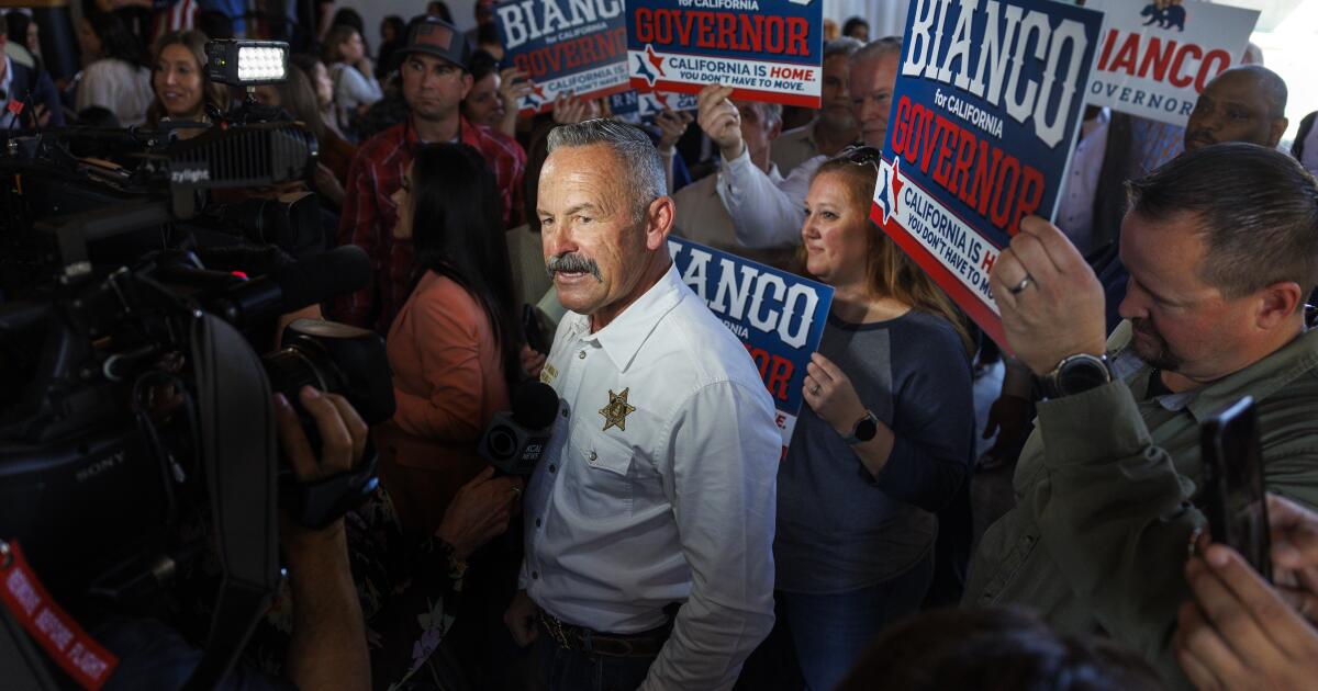 The Riverside County sheriff has seized 650,000 ballots. Here's what we know