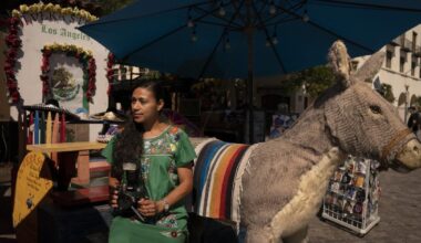 Jorge 'El Burro,' the iconic Olvera Street stuff donkey, to be evicted