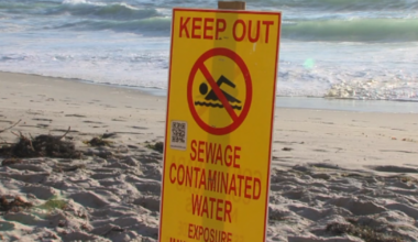 Coronado Beach closed due to sewage contamination