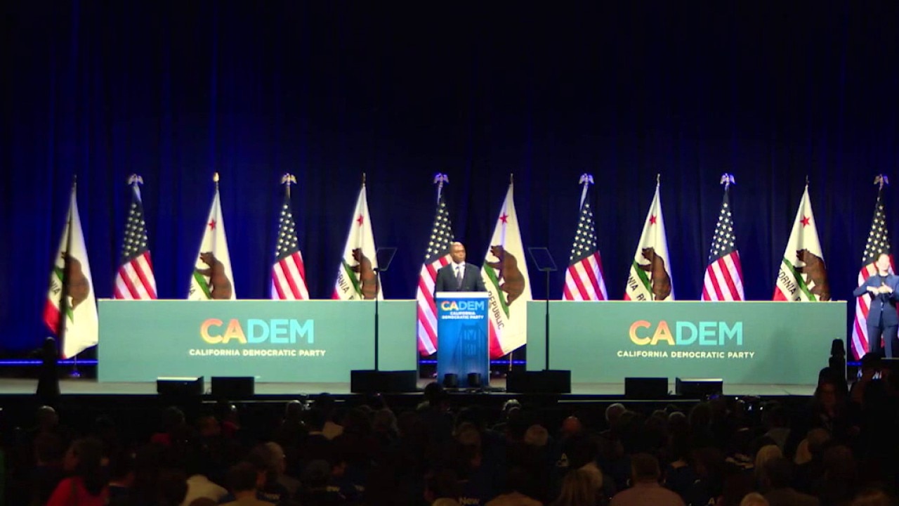 Crowded Democratic race for California Governor