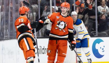 Ducks recover late in 3rd, defeat Sabres in OT on Terry's 2nd goal
