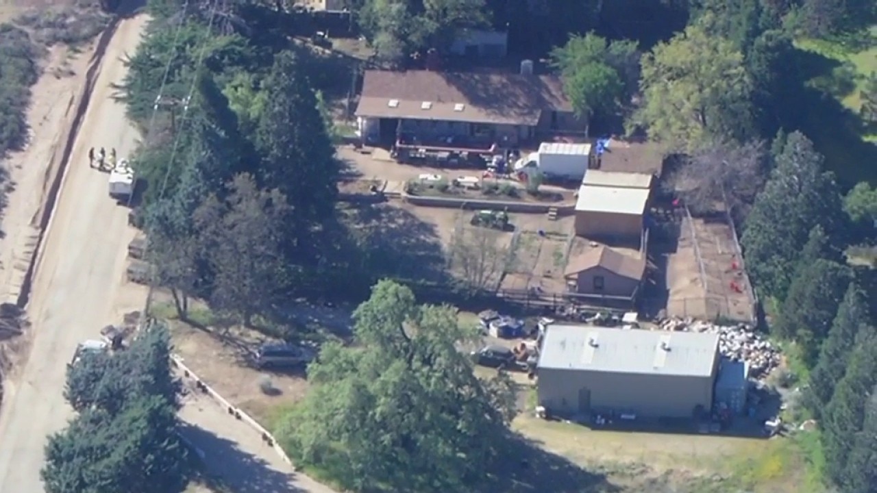 Over 700 dogs, cats rescued in Lake Hughes