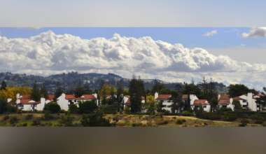 There's A Battle Brewing Between A Nonprofit and Castro Valley Residents: Report