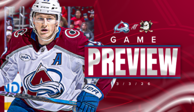 A Duel with the Ducks