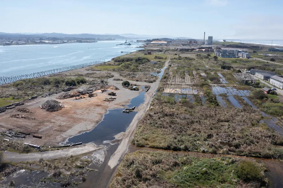The area where they are proposing to build off-shore wind power was formerly the Town of Samoa Wharf and Dock.
