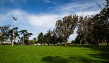 Crocker Amazon turf war moves on to S.F. Supes 