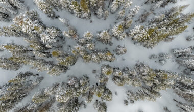 California’s dire snowpack signals early fire season
