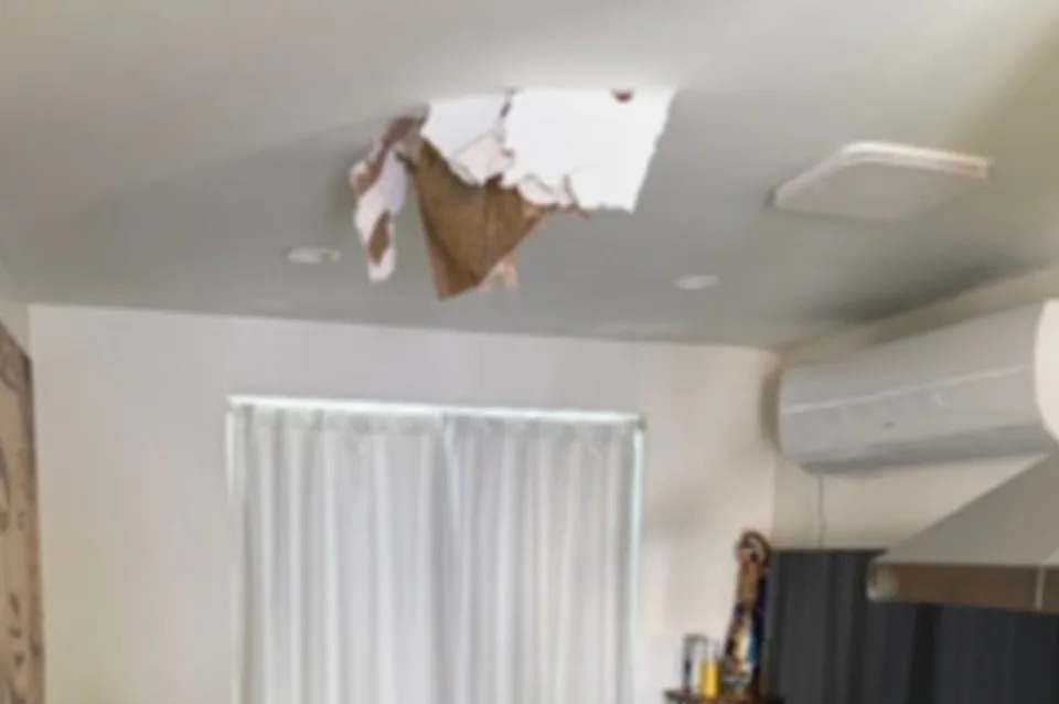 While no one was injured in the incident, which happened last Friday morning, Los Angeles County Supervisor Janice Hahn was concerned about what she called a ‘serious public safety’ threat and urged the FAA to open an investigation into the matter (Los Angeles County Supervisor Janice Hahn)