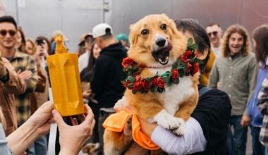 Jazz Fest, Derby Parties, LACMA Events