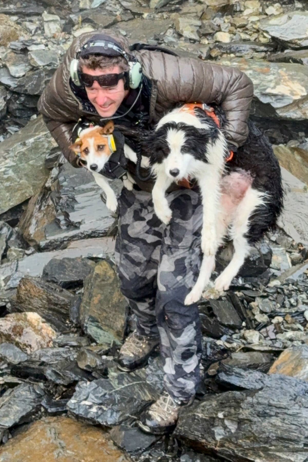 Dog Is Rescued by Helicopter After a Week Lost in the Wilderness