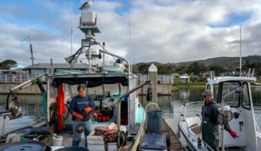 Commercial salmon fishing set to resume along California coast after 3-year shutdown