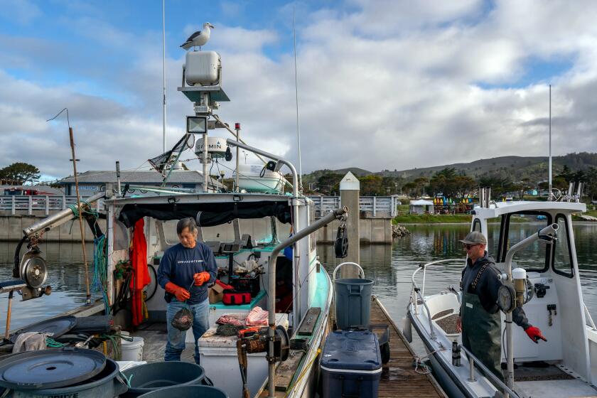 Commercial salmon fishing set to resume along California coast after 3-year shutdown