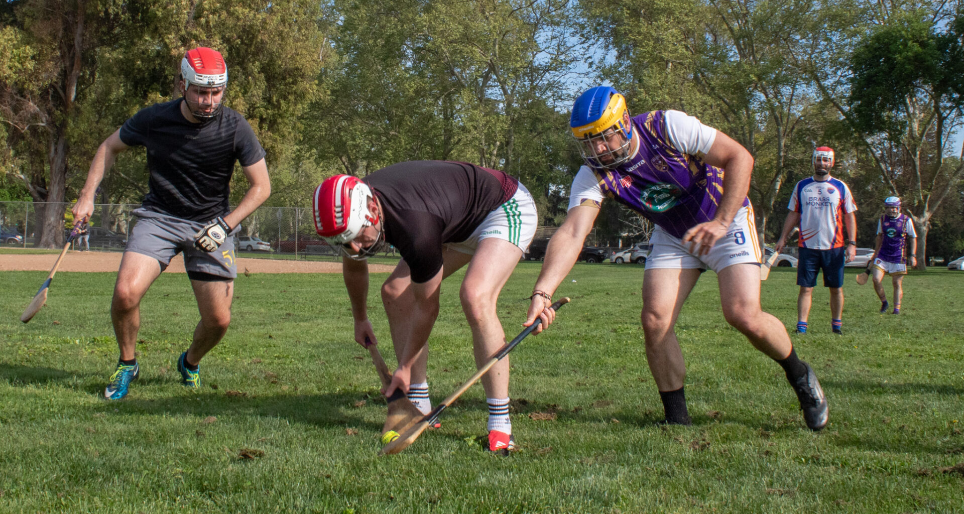 How Ireland’s national sport found a home in Sacramento