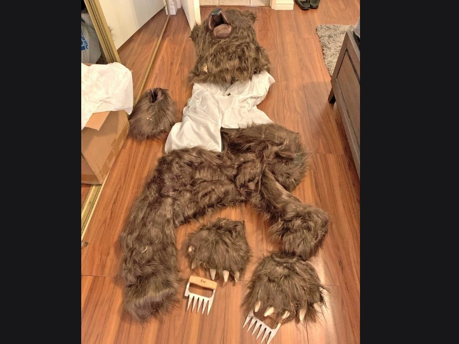 California bear-suit luxury car scam ends in insurance fraud sentences for 3