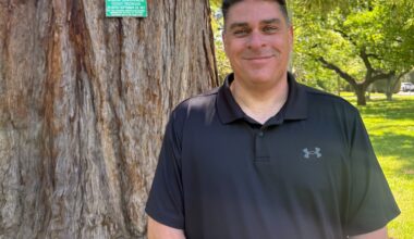 Capitol Park has trees from all over the world. Here are some native to California