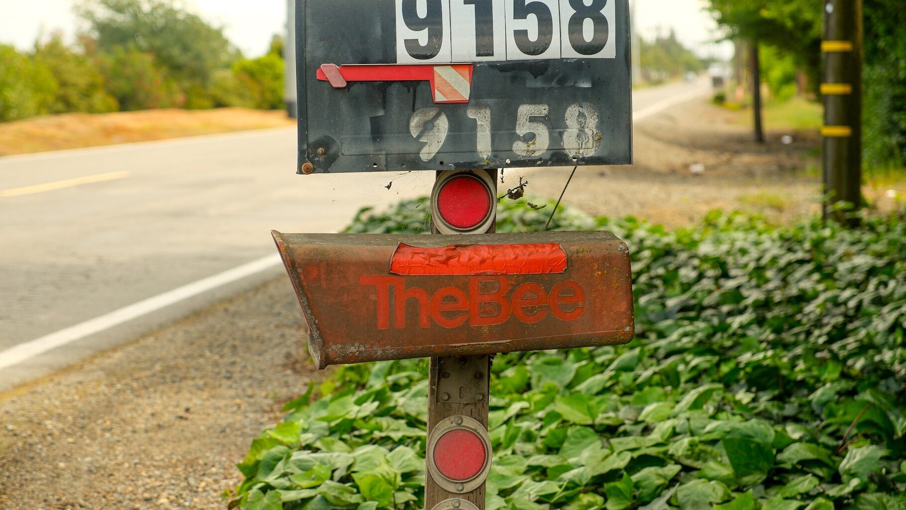 The Sacramento Bee’s use of AI leads to protest amongst reporters